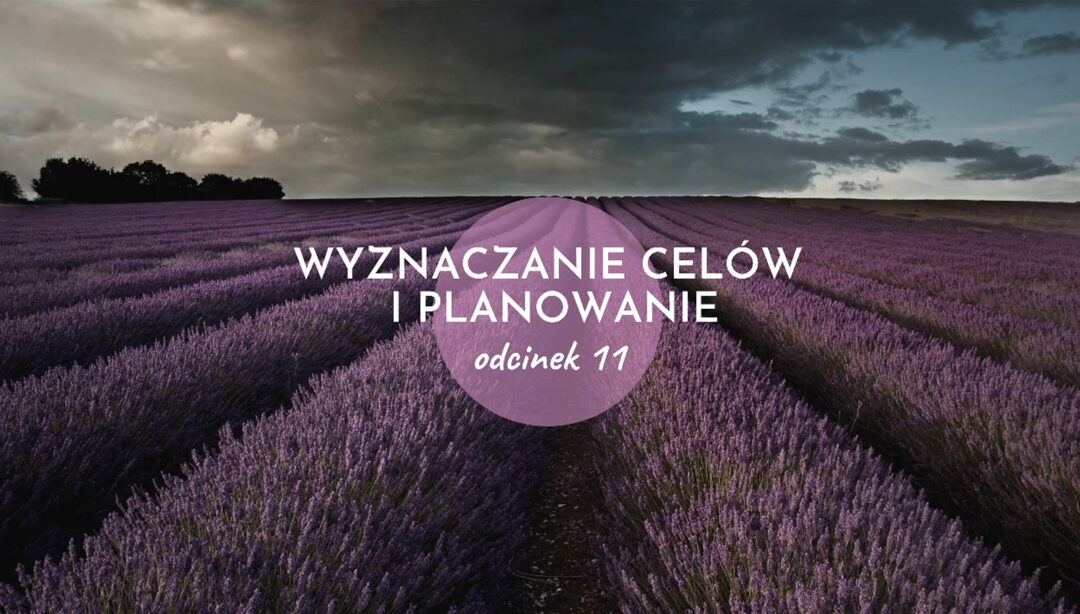 Jak zrealizować swoje plany i spełnić marzenia cz. 2 – harmonia i koło życia